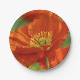 Plato De Papel Bonita amapola roja