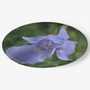 Plato De Papel Bonito Azul Periwinkle Iris Flor