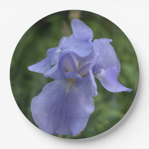 Plato De Papel Bonito Azul Periwinkle Iris Flor