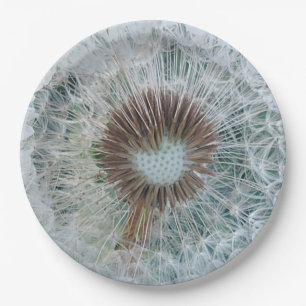 Plato De Papel Bonito Dandelion blanco