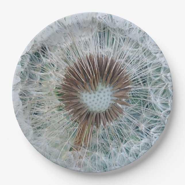 Plato De Papel Bonito Dandelion blanco (Anverso)