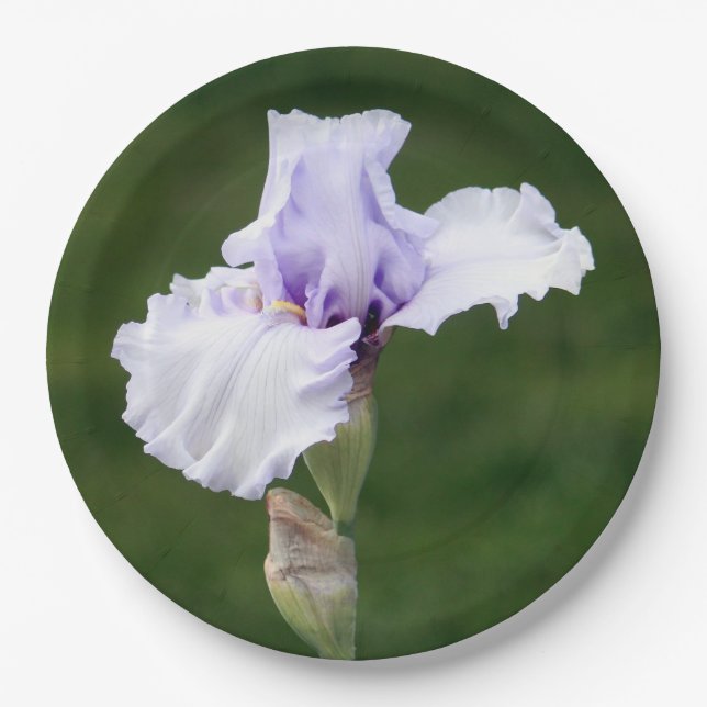 Plato De Papel Bonito Lavender Iris Floral Photo (Anverso)