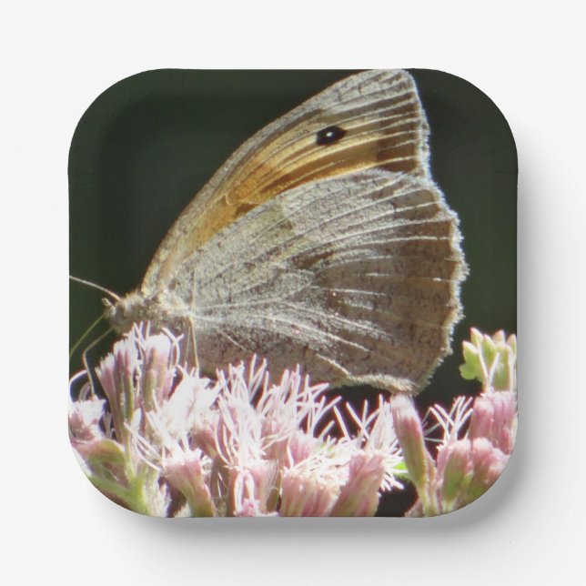 Plato De Papel Bonito mariposa grande (Anverso)