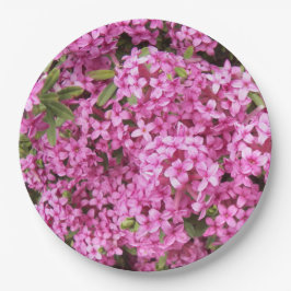 Plato De Papel Bonito Rosa Daphne Floral