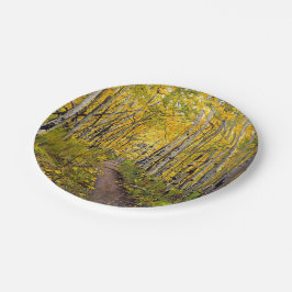 Plato De Papel Bosque de árboles de Aspen