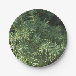 Plato De Papel Bosque de Pino