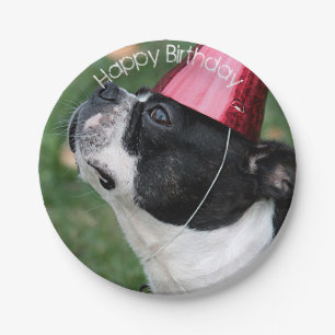 Plato De Papel Boston Terrier