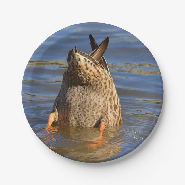 Plato De Papel Bottoms Up Diving Duck Plate (Anverso)