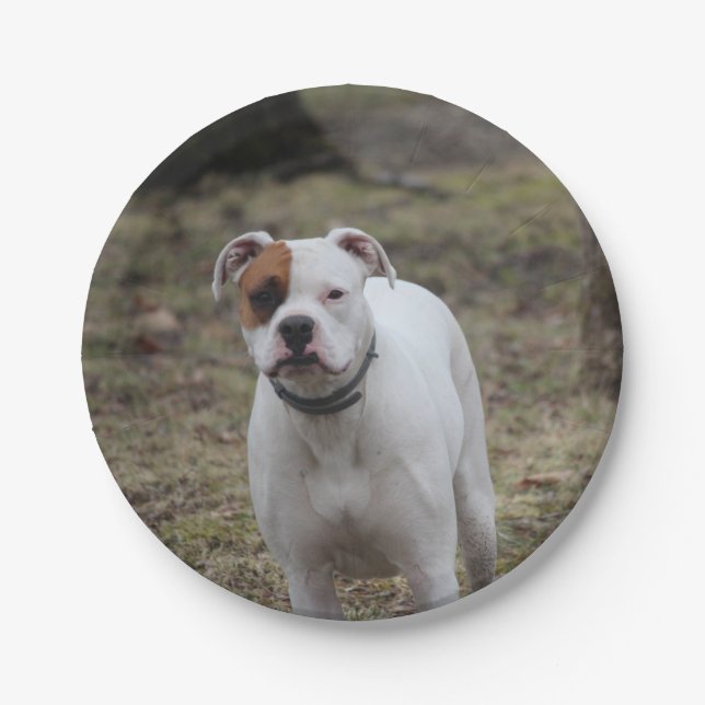 Plato De Papel Boxeador (Anverso)