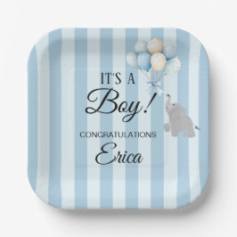 Plato De Papel Boy Baby Shower