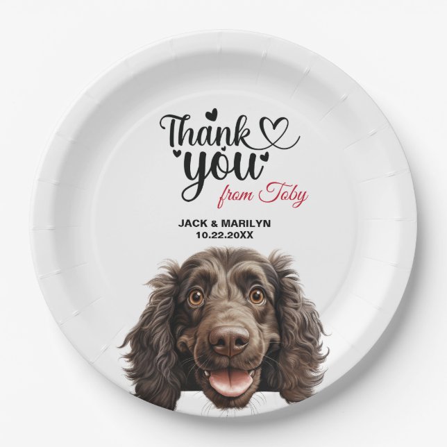 Plato De Papel Boykin Spaniel dog Wedding Reception (Anverso)