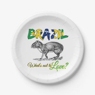 Plato De Papel Brasil - Qué no quiere la cita de Brasil