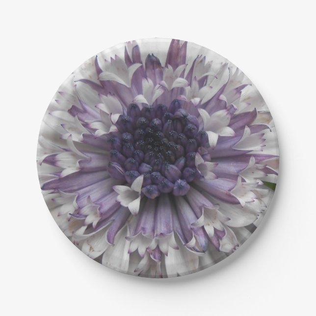 Plato De Papel Brett (Anverso)