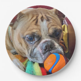 Plato De Papel Brindle Boston Terrier Paper Plate