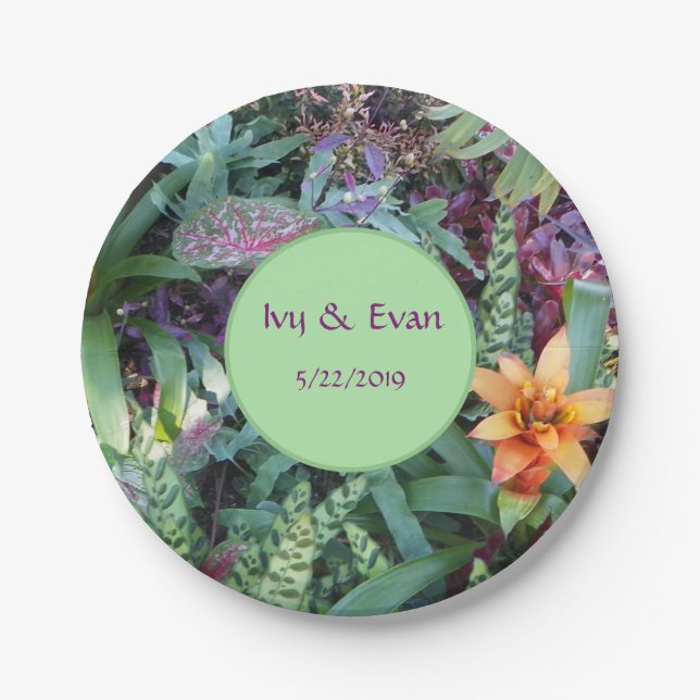 Plato De Papel Bromeliad Garden (Anverso)
