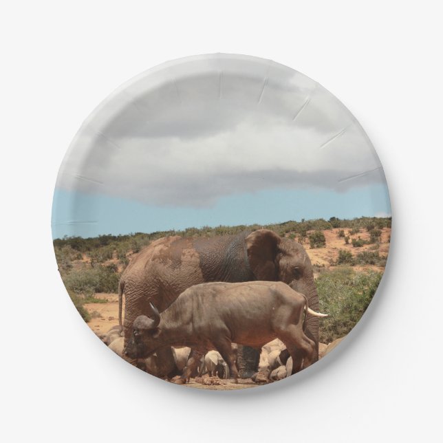 Plato De Papel Búfalo elefante de fotografía de vida silvestre en (Anverso)