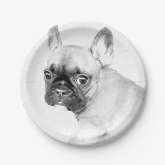 Plato De Papel Bulldog francés