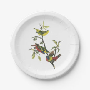 Plato De Papel Bunting pintado por Audubon