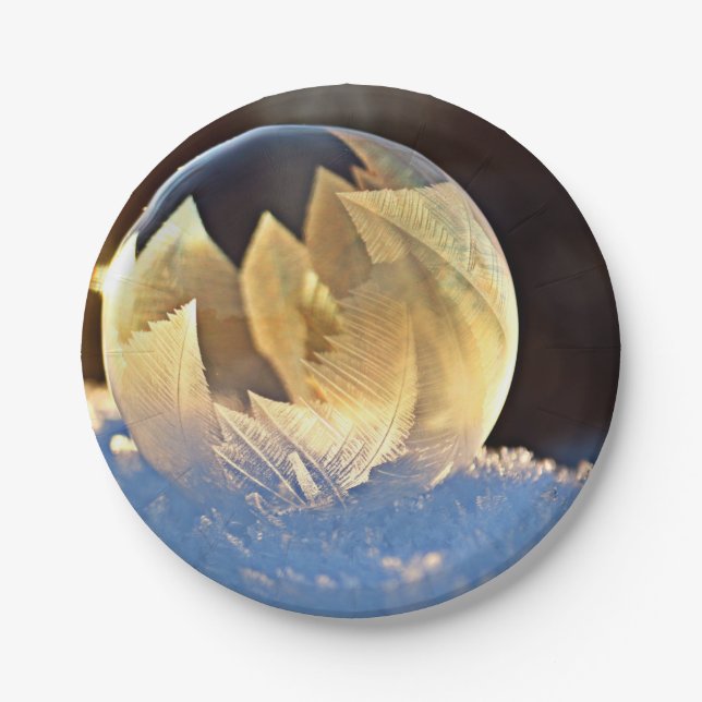 Plato De Papel Burbuja de jabón en nieve (Anverso)