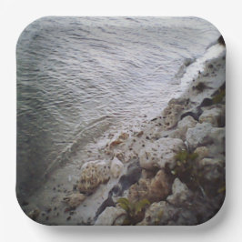 Plato De Papel Burbujas En La Playa