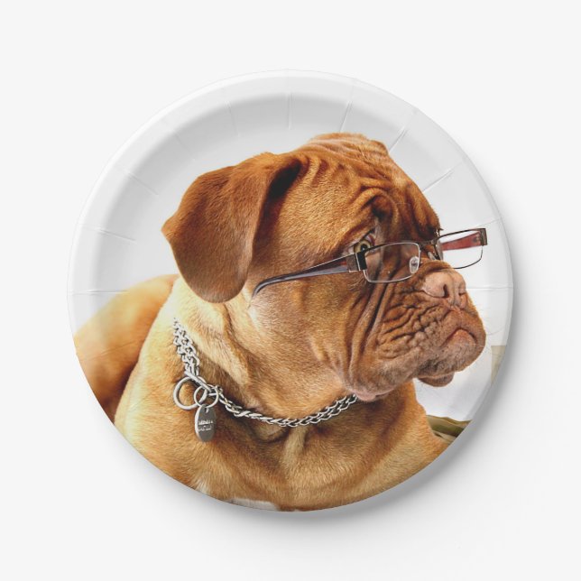 Plato De Papel Burdeos Mastiff, regalo francés Mastiff Bordeauxdo (Anverso)