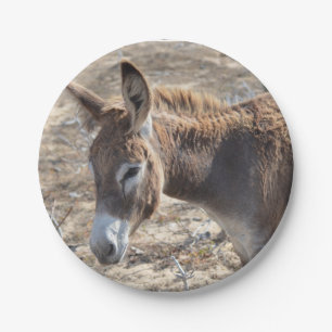 Plato De Papel Burro adorable