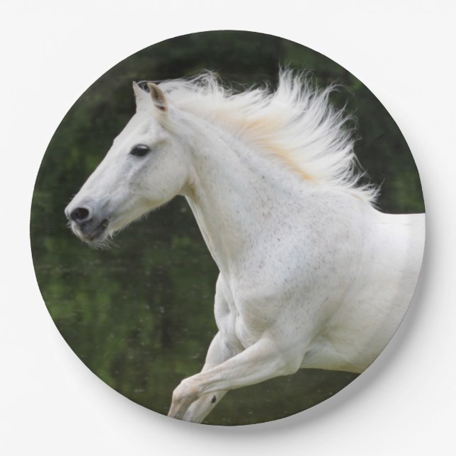 Plato De Papel Caballo blanco galopante (Anverso)