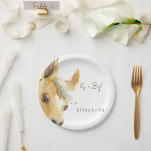 Plato De Papel Caballo lindo es un chico Baby Shower blanco