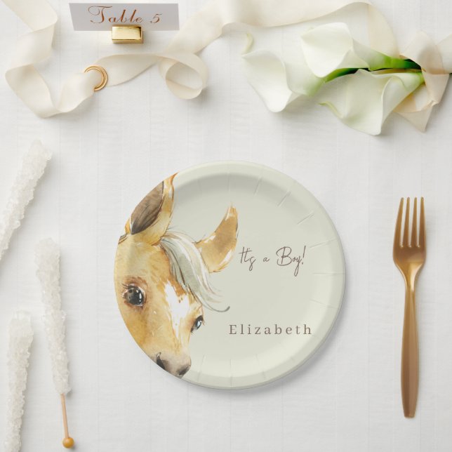 Plato De Papel Caballo lindo es un niño Baby Shower (Boda)