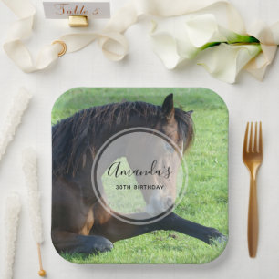 Plato De Papel Caballo marrón bonito sentado en el cumpleaños de 