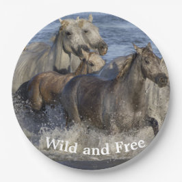 Plato De Papel Caballos galopando en el agua