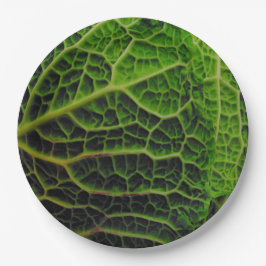 PLATO DE PAPEL CABBAGE