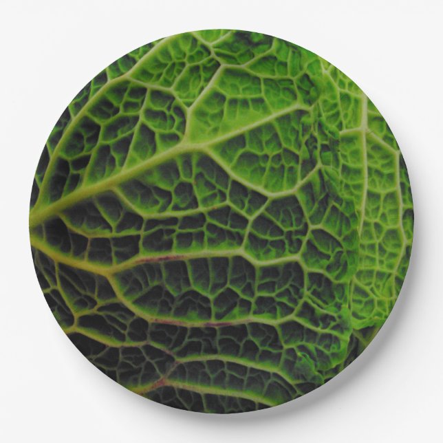 PLATO DE PAPEL CABBAGE (Anverso)