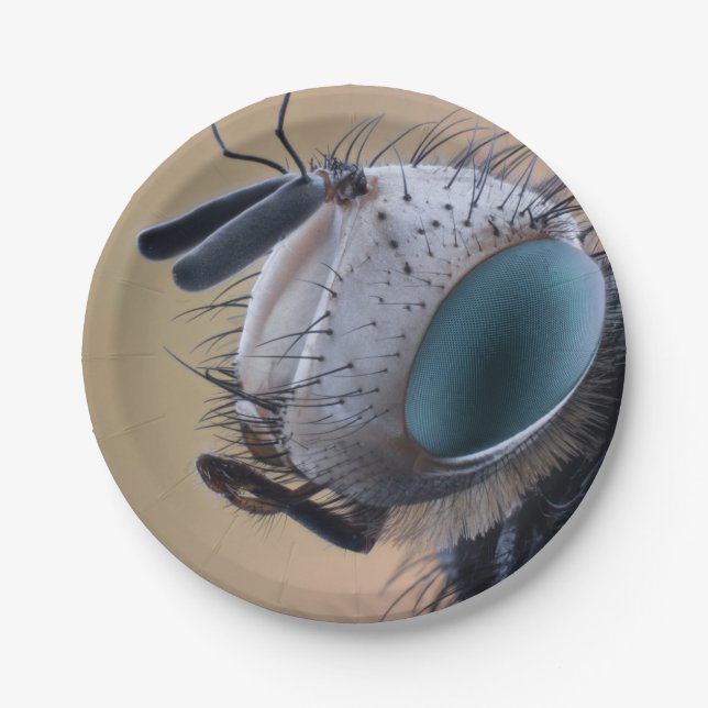 Plato De Papel Cabeza de error de insecto de cierre (Anverso)