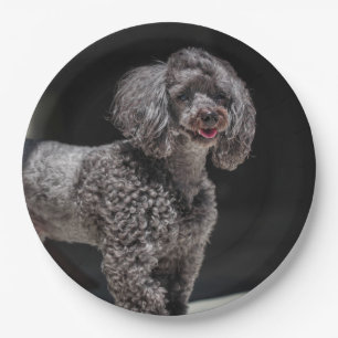 Plato De Papel Cabeza de perro de caniche negro lindo sonriendo