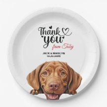 Cabina de cable Vizla