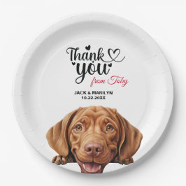 Plato De Papel Cabina de cable Vizla