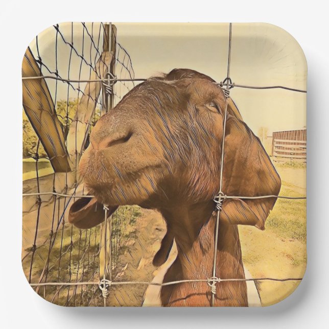 Plato De Papel Cabra Adorable - Placa de papel (Anverso)