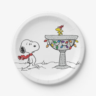Plato De Papel Cacahuetes   Baño de aves congelado Snoopy & Woods