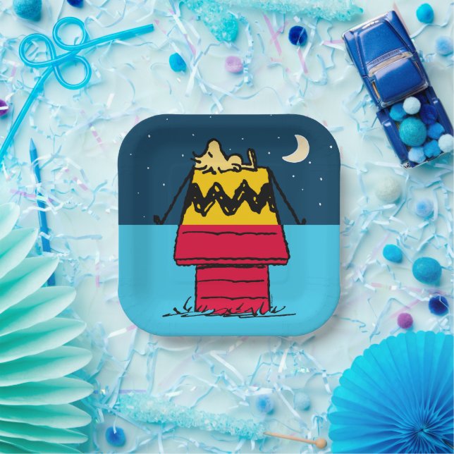 Plato De Papel Cacahuetes | Media y media camping Woodstock (Fiesta)