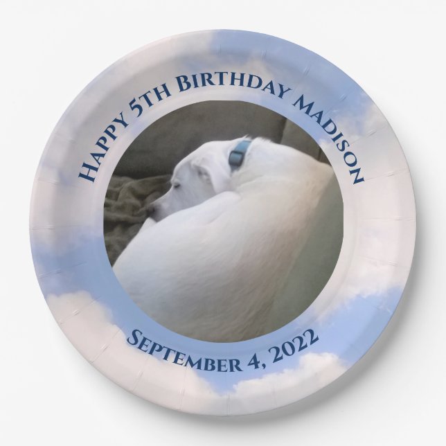 Plato De Papel Cachorro cachorro Perro durmiendo cielo azul 5 cum (Anverso)