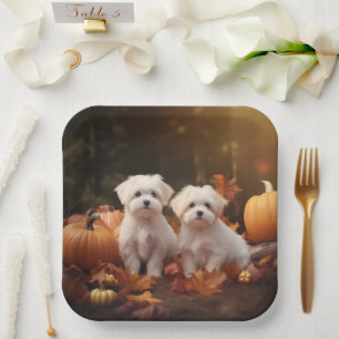 Plato De Papel Cachorro Maltés Delicia de Otoño Calabaza