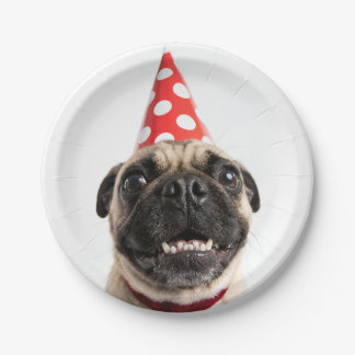 Plato De Papel Cachorro Pug Adorable Cumpleaños con Gorro Rojo de