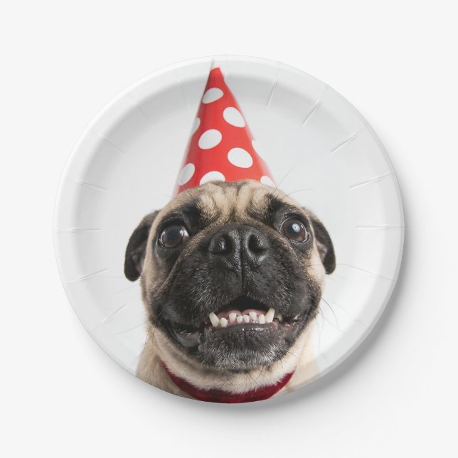 Plato De Papel Cachorro Pug Adorable Cumpleaños con Gorro Rojo de (Anverso)