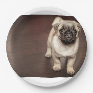 Plato De Papel cachorro pug en sepia