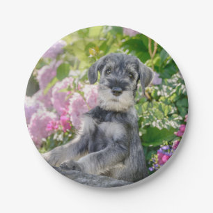 Plato De Papel Cachorro Schnauzer estándar en un jardín floreci