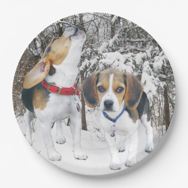 Plato De Papel Cachorros beagle en el bosque de nieve (Anverso)