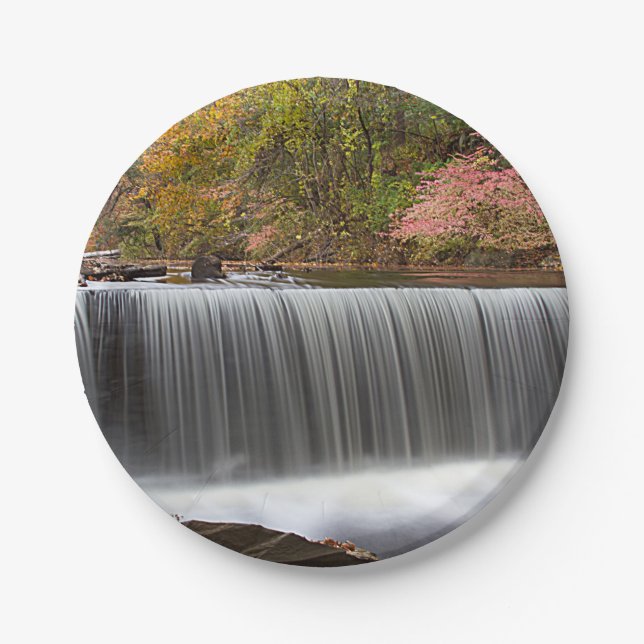 Plato De Papel Caída de otoño en Vanderbuild (Anverso)