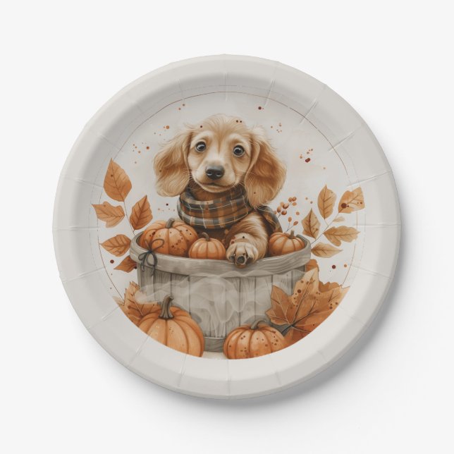 Plato De Papel Calabaza de perros Dachshund en otoño (Anverso)
