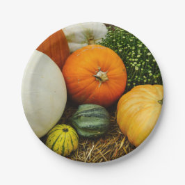 Plato De Papel Calabazas Y Gris